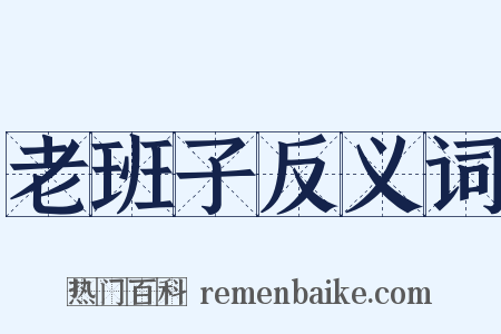 老班子反义词是什么意思的图片